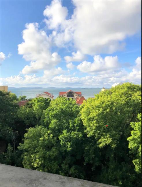 Appartement Vue Sur Baie Et Ocean, 100 M De La Plage Et Du Centre Par Chemin Prive Arcachon Bagian luar foto
