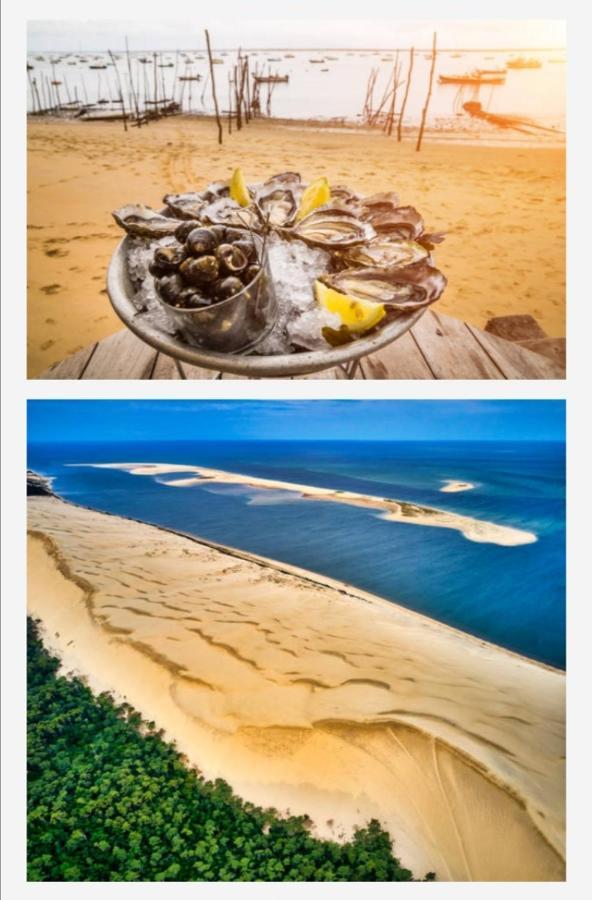 Appartement Vue Sur Baie Et Ocean, 100 M De La Plage Et Du Centre Par Chemin Prive Arcachon Bagian luar foto