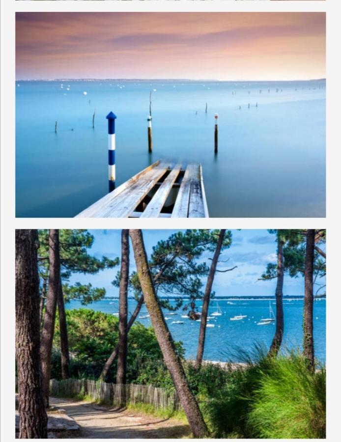 Appartement Vue Sur Baie Et Ocean, 100 M De La Plage Et Du Centre Par Chemin Prive Arcachon Bagian luar foto